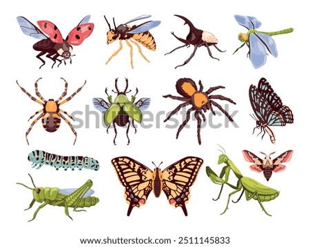 Colorful different insects. Various insect closeup beetle with wings antenna, bug caterpillar larvae coccinellidae grub arthropod spider, swanky bugs cartoon vector illustration original artwork