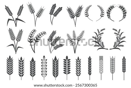 Wheat ears silhouettes. Barley ears, oat grains rice spike cereal plant spikelet black logo icons bread bakery or beer products emblems farm harvest symbol neat vector illustration original artwork