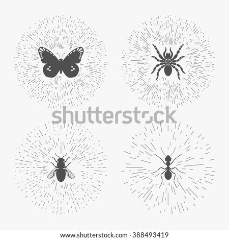 Hipster line logo templates set with insects. Thin line insects labels