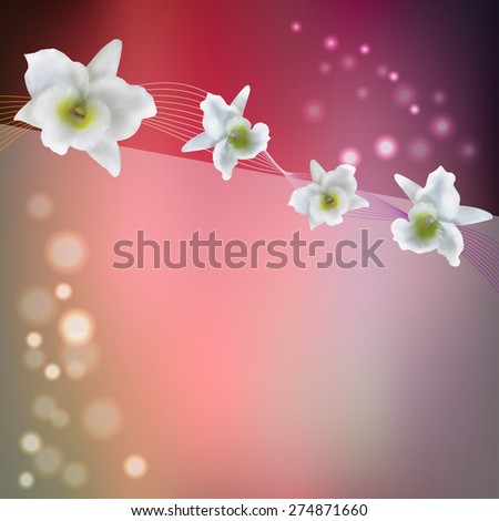 flower purple background with white blossom orchid