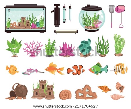 Aquarium elements. Decorative fish's habitat. Containers various shapes with water and algae. Underwater rocks and corals. Fishbowl filters. Goldfishes and shells