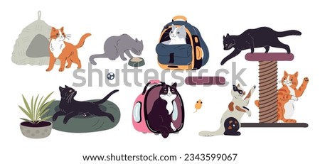 Cat accessories. Domestic animals care veterinary elements. Sun beds for kittens. Feline carriers and scratching posts. Happy pets. Cute kitty in bag. Cozy pillows
