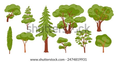 Cartoon kinds trees. Various coniferous or deciduous plants. Forest woods. Green crowns and lush foliage. Natural brown trunks and branches. Summer pine. Botanical garish