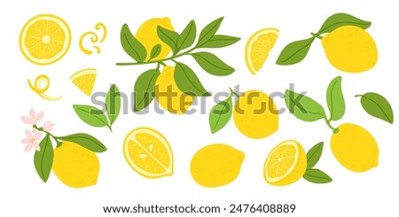 Cartoon lemons. Exotic sour juicy fruit. Yellow citrus. Citric whole and slices. Fragrant zest. Natural twigs with leaves and flowers. Citron branches. Tropical plant