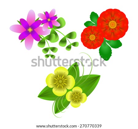 Bright colourful flowers: yellow, lilac, red. Isolated on white background. Transparency and gradient mesh used.