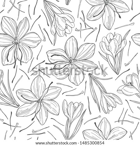Vector seamless pattern with  hand drawn  saffron spice. 