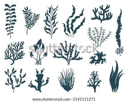 Sea plants silhouettes. Seaweed aquarium, reef seaweeds corals. Marine weeds or algae. Ocean nature decorative elements, isolated neat vector set