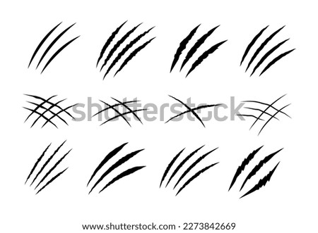 Black claw scratches. Bear tiger claws trails, animal scratched white paper. Lion or dinosaur flat scratch marks, racy wild beast tracks vector clipart