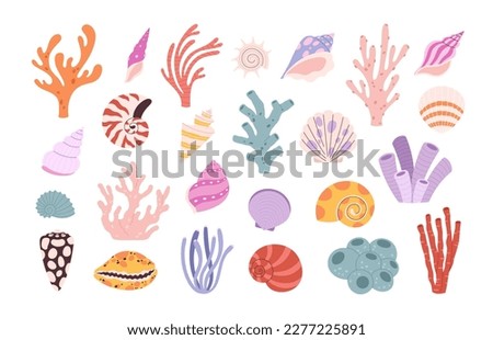 Cartoon corals and seashells, algae underwater elements. Ocean blue natural plants, seashells aquarium set. Shell, laminaria, racy marine vector clipart