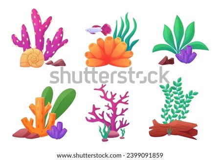 Similar – Image, Stock Photo Decorative stones and seashells on tray near dirt