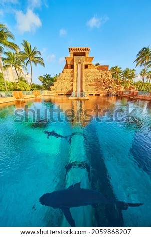 Temple vacation water slide going through aquarium of sharks 商業照片 © 