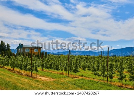 Similar – Image, Stock Photo Snow Stories Agriculture