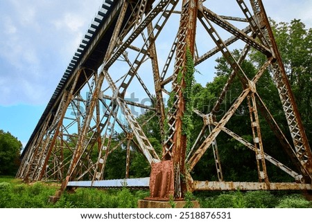 Similar – Image, Stock Photo Train on bridge amid lush plants in mountains