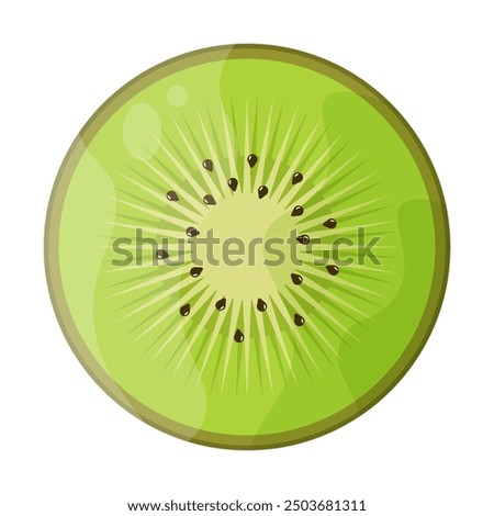 Kivi slice isolated white background. Kivi template design. Simple flat vector illustration can used fabric decor template. EPS 10