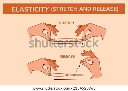 Elasticity stretch release vector diagram