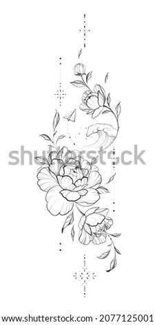 Ink, pencil, the leaves and flowers of Peonies. Line art transparent background. Hand drawn nature painting. Freehand sketching illustration.