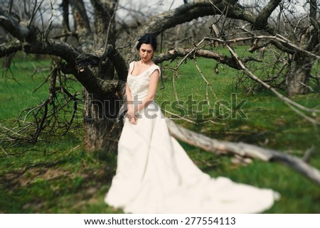 The bride in a dress with a train sits on a branch of a dead tree among a green spring grass