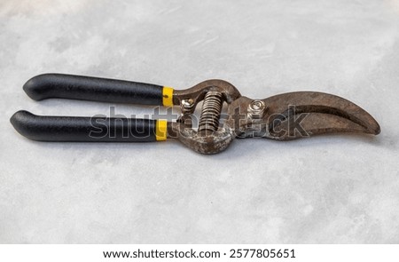 Similar – Image, Stock Photo Hand grips branch with thorns