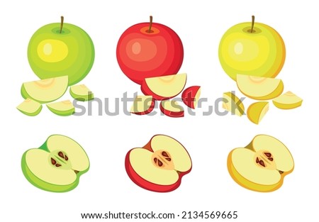 A set of green, red and yellow apples isolated on a white background. Vector whole and cut apples. Cartoon sweet apples. Vector illustration