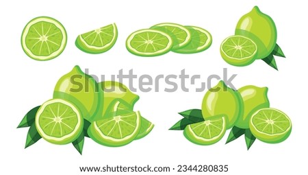 Set of green limes in cartoon style. Vector illustration of delicious, fresh and juicy whole and half limes cut into pieces with green leaves isolated on white background.
