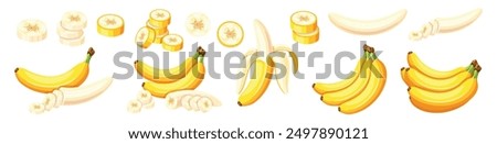 Set of delicious bananas in cartoon style. Vector illustration of yellow and fresh various bananas: whole,slices,in the peel isolated on a white background.Peeled and unpeeled bananas.A healthy snack.