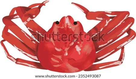 Illustration of Japanese Boiled Crab