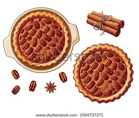 Homemade pecan pie. Rustic sweet pie with nut filling, American cuisine. Top view. Vector illustration in eps 10. Design element for menu, recipe, market and cookbook 