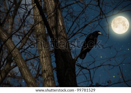 crow on a tree at full moon night