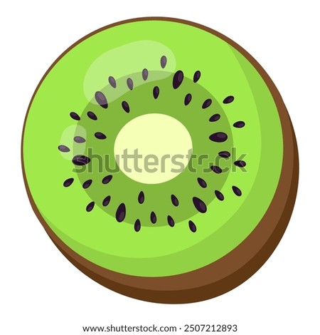 Kiwi vector illustration on white background