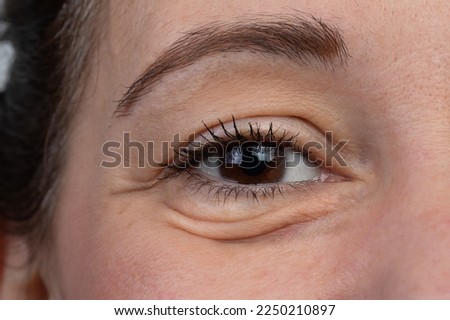 Similar – Image, Stock Photo close up of caucasian woman painting the room walls with white color. Do it yourself and new home concept