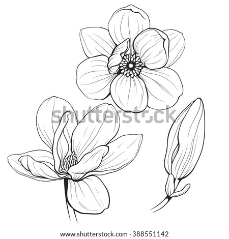 t image black shirt vector Art Download Flowers Outline  Free  Vector  Vector  Free