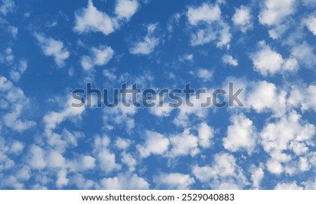 Similar – Image, Stock Photo 12 daylight Colour