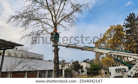 Similar – Image, Stock Photo Branch Manager Ladder