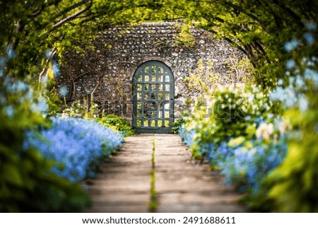 Similar – Image, Stock Photo old closed garden gate with wire mesh fence and hole