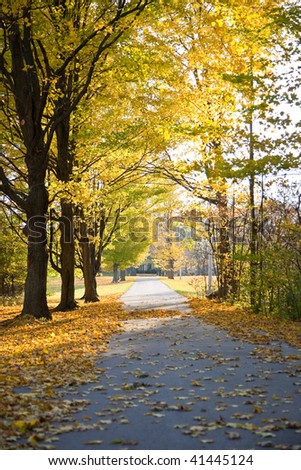 A long driveway lined with mature trees in the fall.