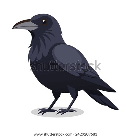 Crow flat Vector illustration on white background