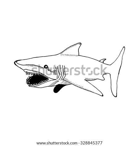 Hand Draw A Shark With An Open Mouth And Sharp Teeth In The Style Of A ...
