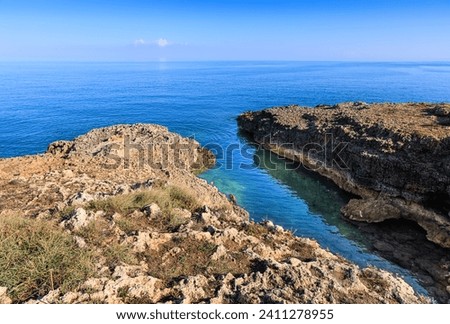 Similar – Image, Stock Photo rocky coast Horizon