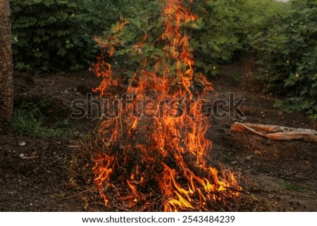 Similar – Image, Stock Photo Bonfire of the dry grass in springtime