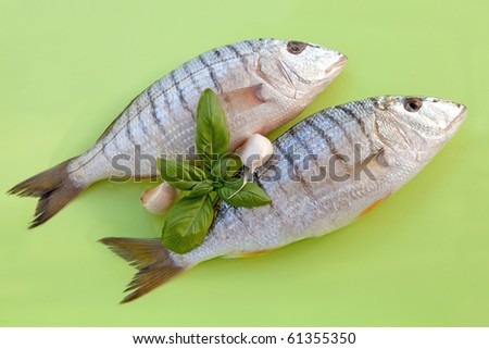 two fresh raw fish for dinner over green background
