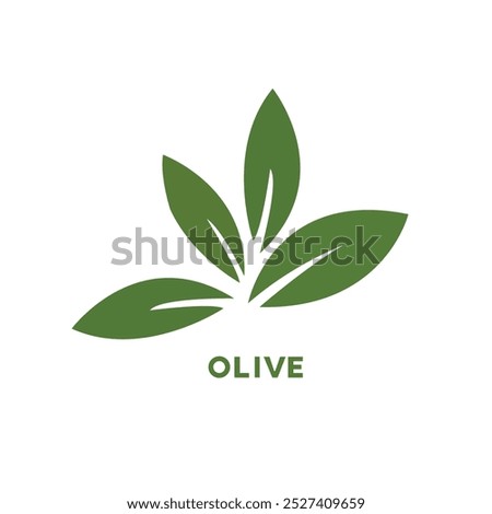 olive branch icon, vector olive  green leaf logo template nature beauty and healthy.  