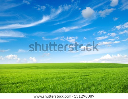 green grass field and bright blue sky
