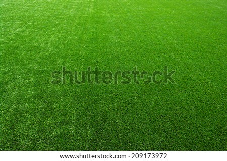 Background of a green grass. Texture green lawn