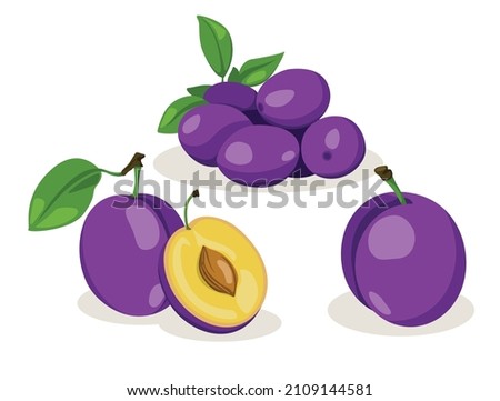 Fresh plum with green leaf in cartoon style. Vector whole and parts sweet plum isolated on a white background.