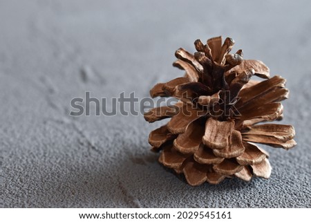 Pine cones on the table. ストックフォト © 
