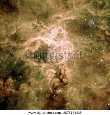 Tarantula Nebula. Most active starburst region in the Local Group.