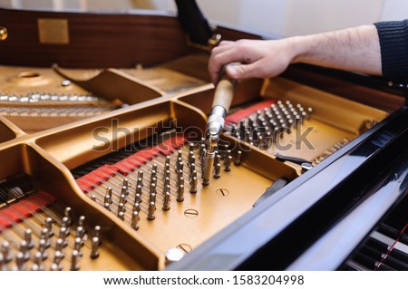 Similar – Image, Stock Photo Craftsman tuning string instrument in workshop