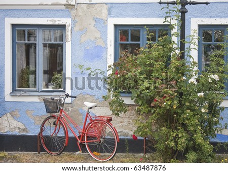 A red bike leaning against a blue house wall with a bush with red and white roses
