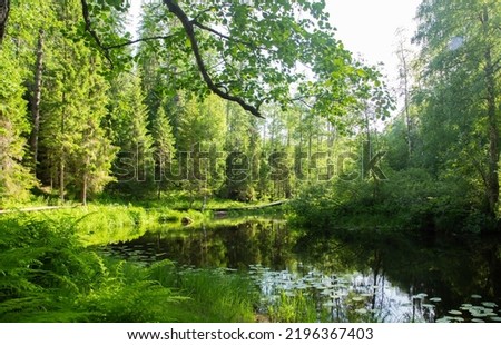 Similar – Foto Bild Dichter grüner Wald mit Bergen