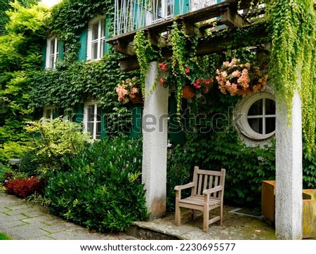 Similar – Image, Stock Photo ivy overgrown wall Nature